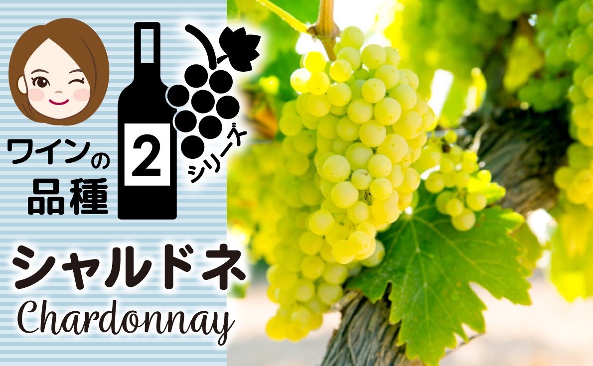 ～ワインのブドウ品種シリーズ Vol.2～【シャルドネ】特徴から食事との組み合わせや生産地について紹介