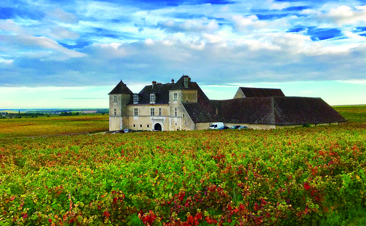 高級ワインの代名詞？ブルゴーニュワインの特徴を解説！おすすめマリアージュも紹介