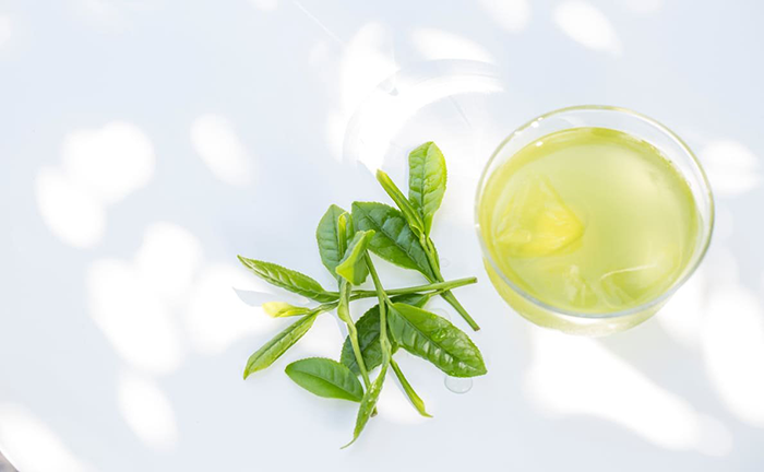 いいちこを緑茶で割った「いい茶こ」とは?飲食店で提供する方法やメリット