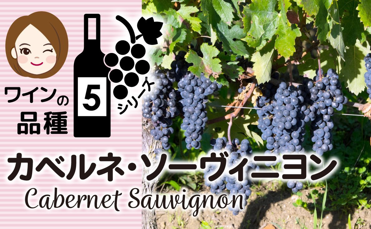 【カベルネ・ソーヴィニヨン】特徴から食事との組み合わせや生産地について紹介~ワインのブドウ品種シリーズ Vol.5~