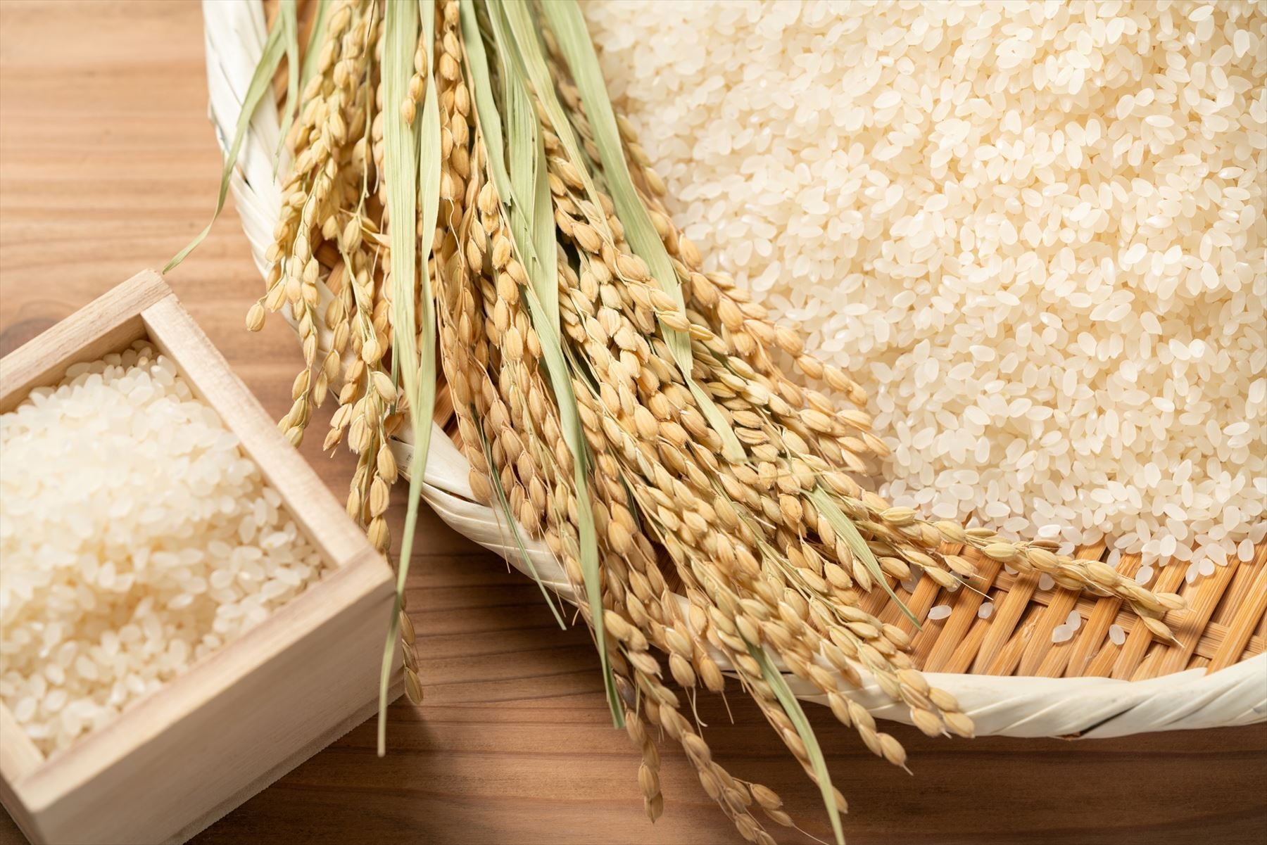 飲食店のお米はどこから仕入れる？時短で、おいしいお米を提供するノウハウを紹介