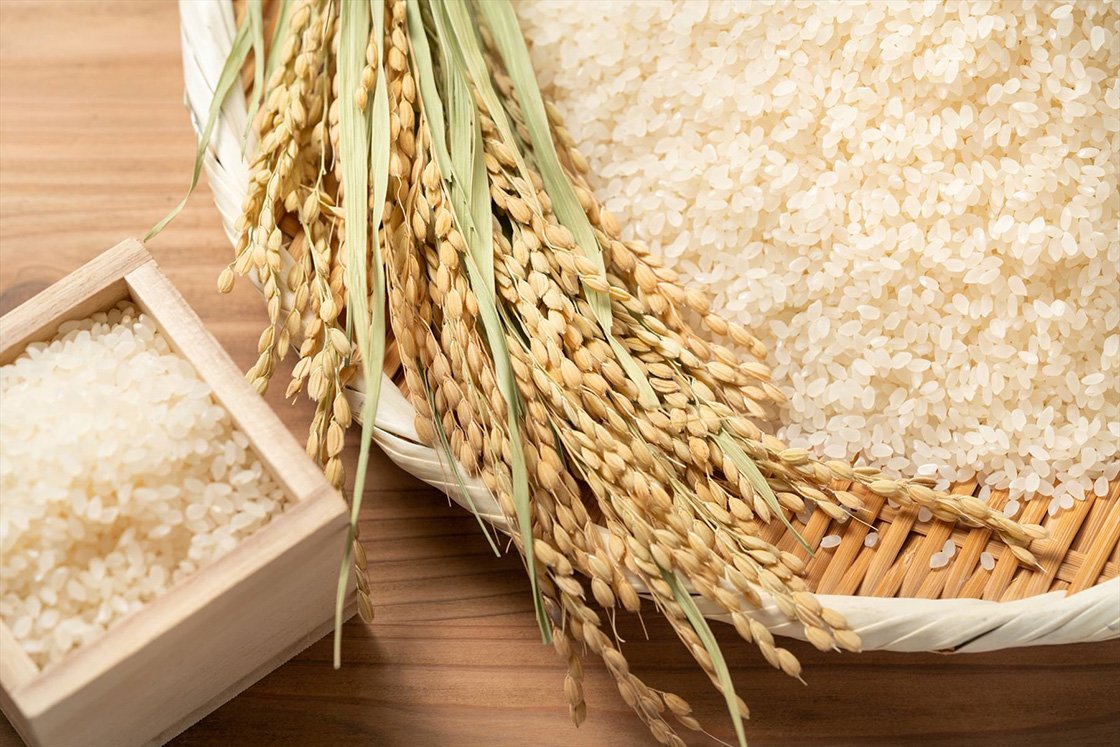 飲食店のお米はどこから仕入れる？時短で、おいしいお米を提供するノウハウを紹介