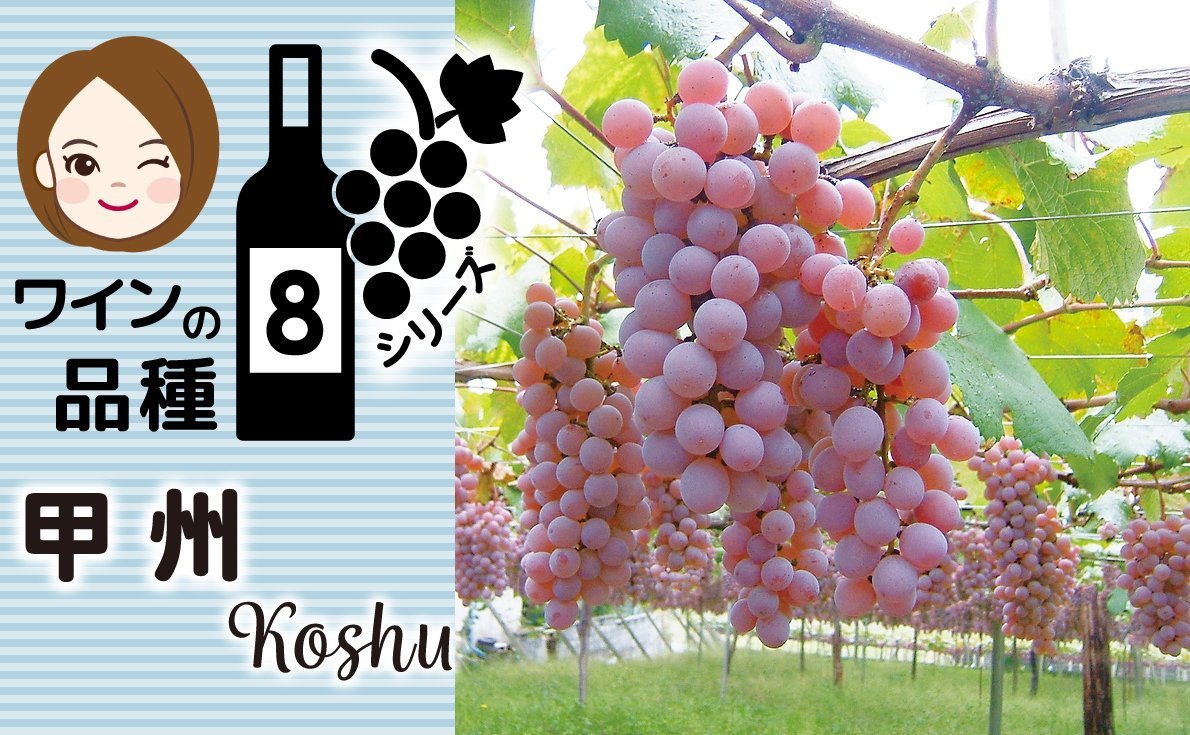 【甲州】特徴から食事との組み合わせや生産地について紹介～ワインのブドウ品種シリーズ Vol.8～